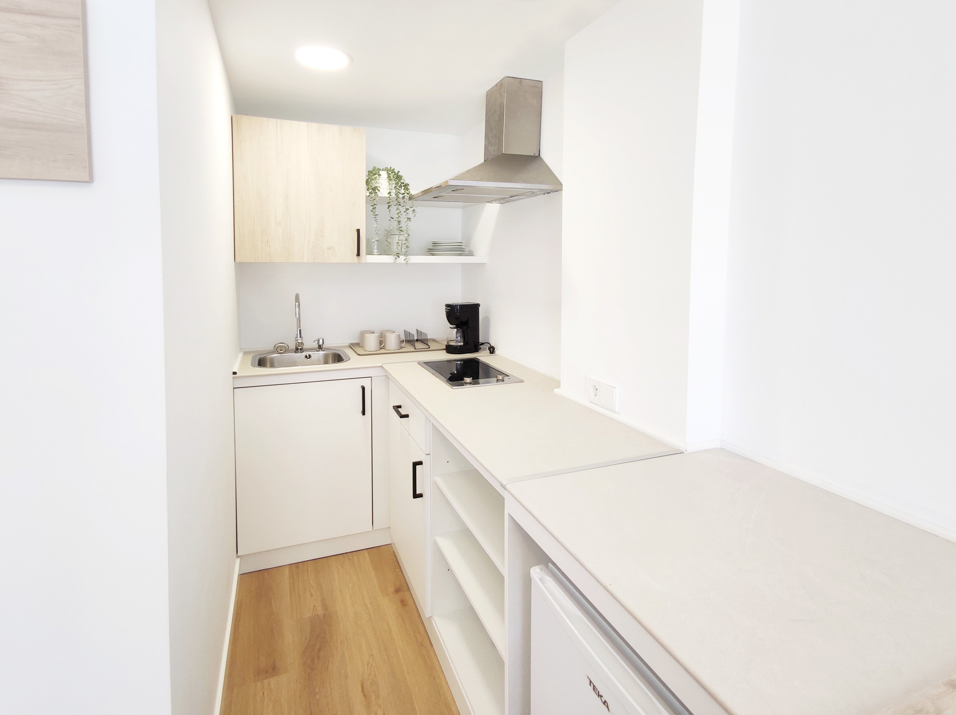 Equipped Apartment kitchen with a hob, sink, and refrigerator