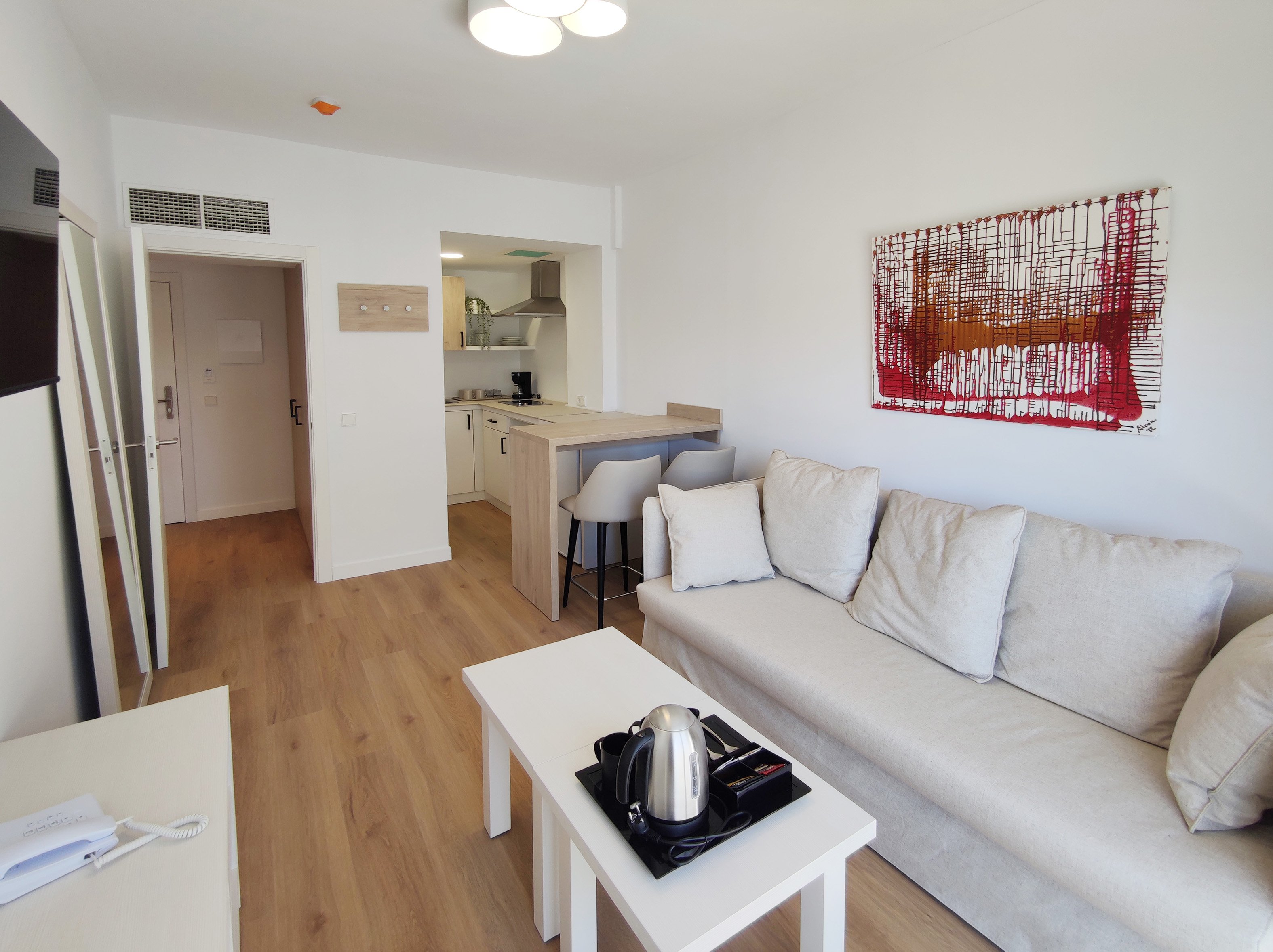 Apartment living room with a sofa bed and kitchenette